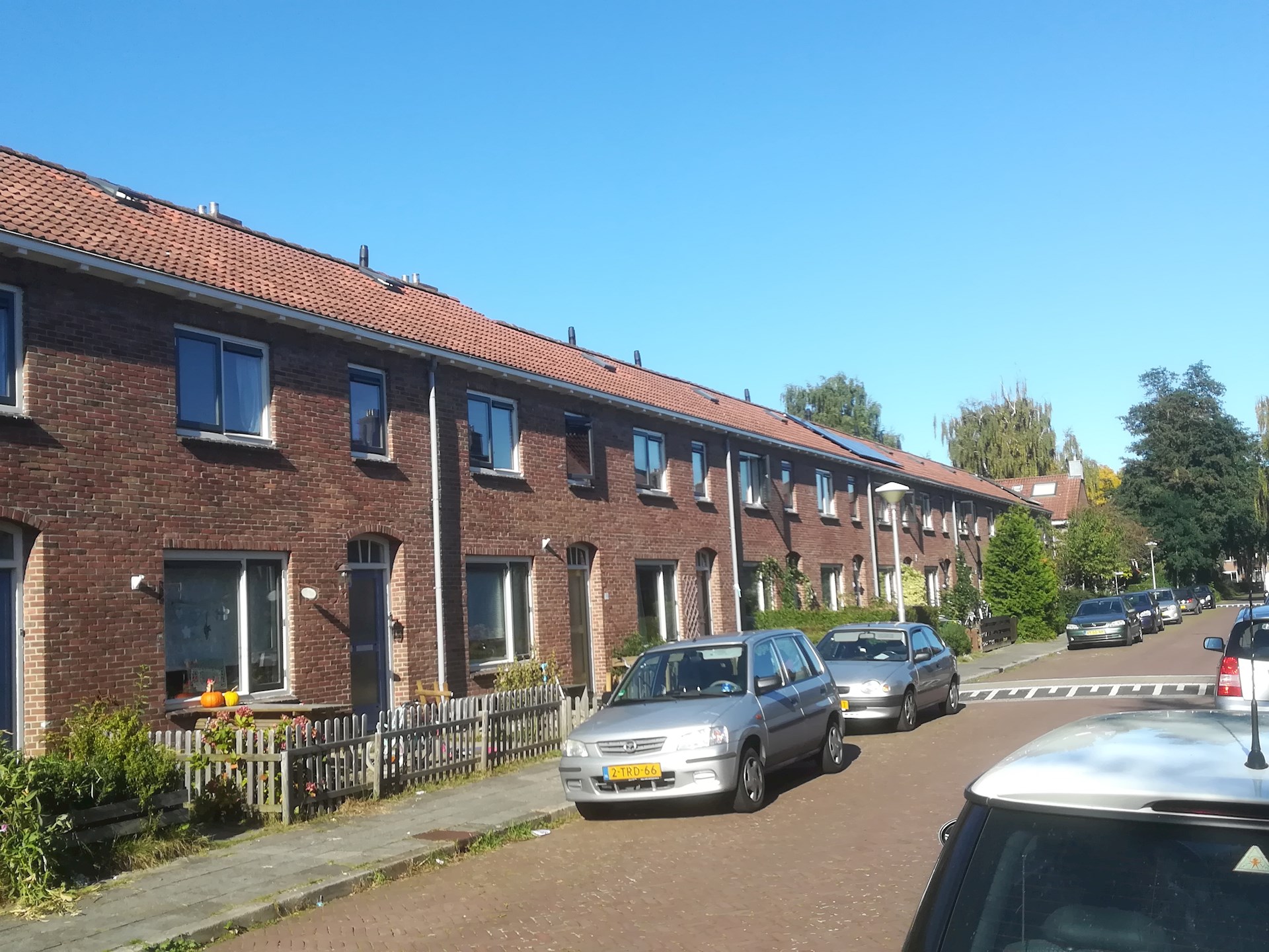 Foto 31.jpg